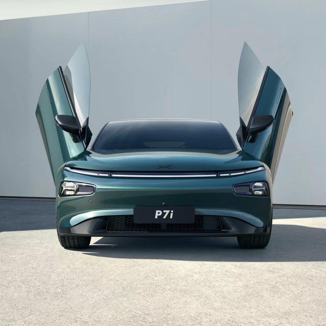 XPENG P7   Accessories