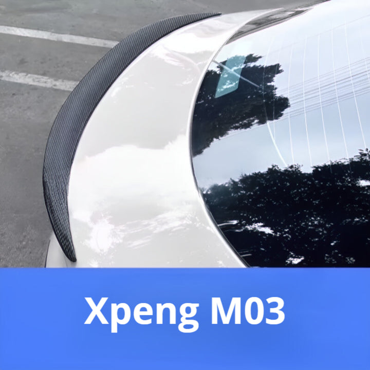 M03 sports wing