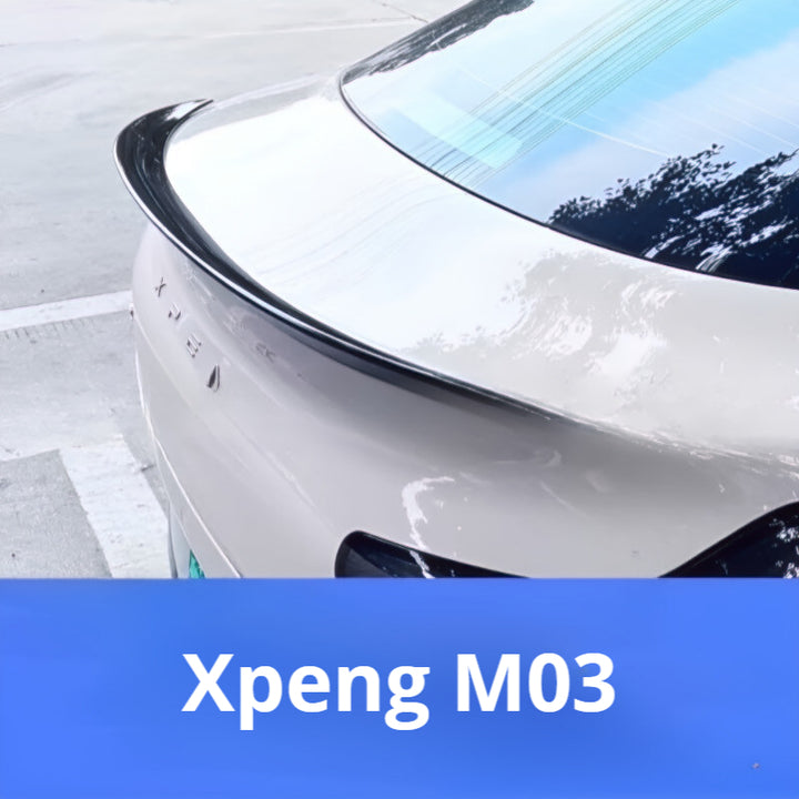 M03 sports wing