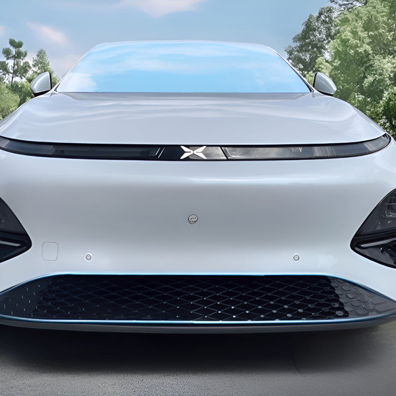 XPENG G6 Grille Proof Net