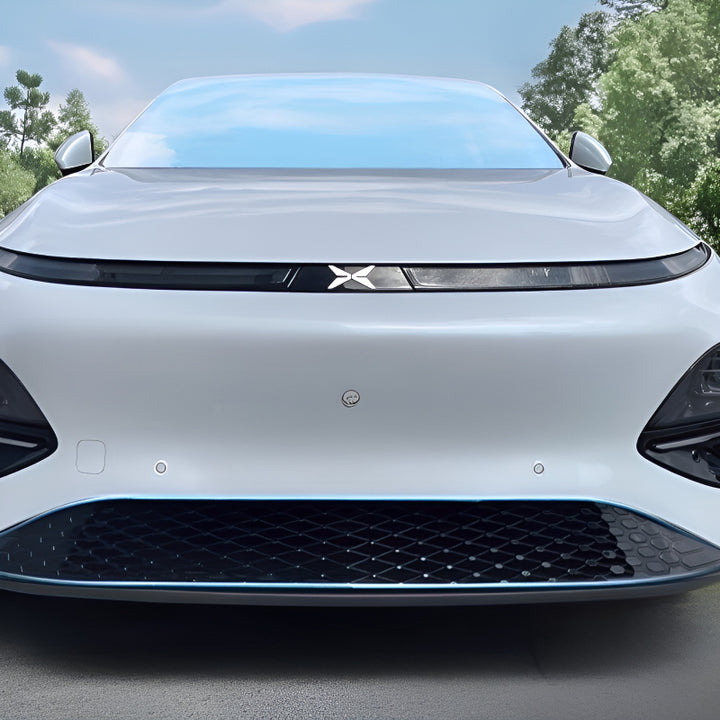XPENG G6 Grille Proof Net
