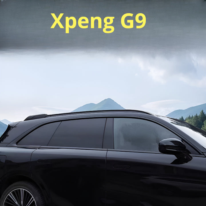 Xpeng G9 Darth Vader Window Trim ( Pack of 10 )