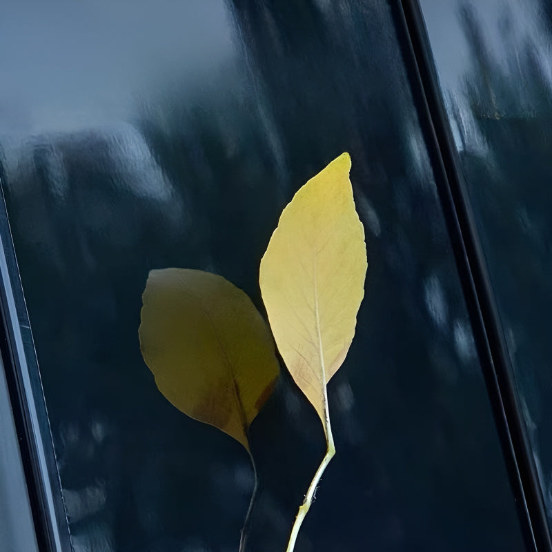 Xpeng B-pillar Protection Film (dural)