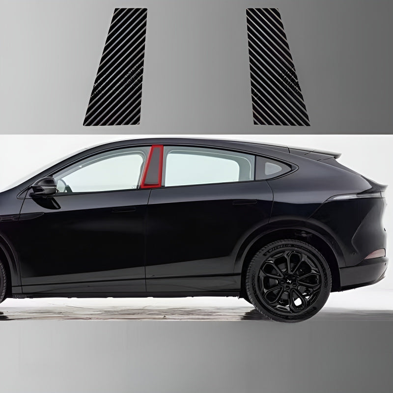 Xpeng B-pillar Protection Film (dural)